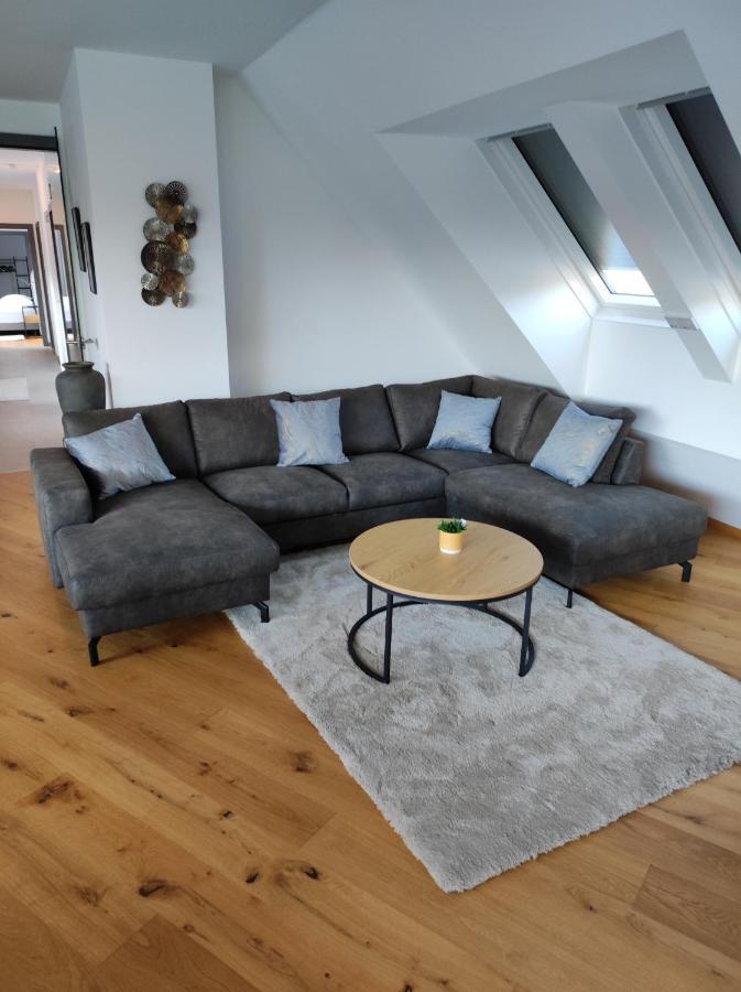 Luxurioeses Penthouse Mit Blick Auf Die Uno-City Und Dem Kaiserwasser. 3Schlafzimmer, 2 Baeder, Privat Lift Ins Apartment Wien Ngoại thất bức ảnh